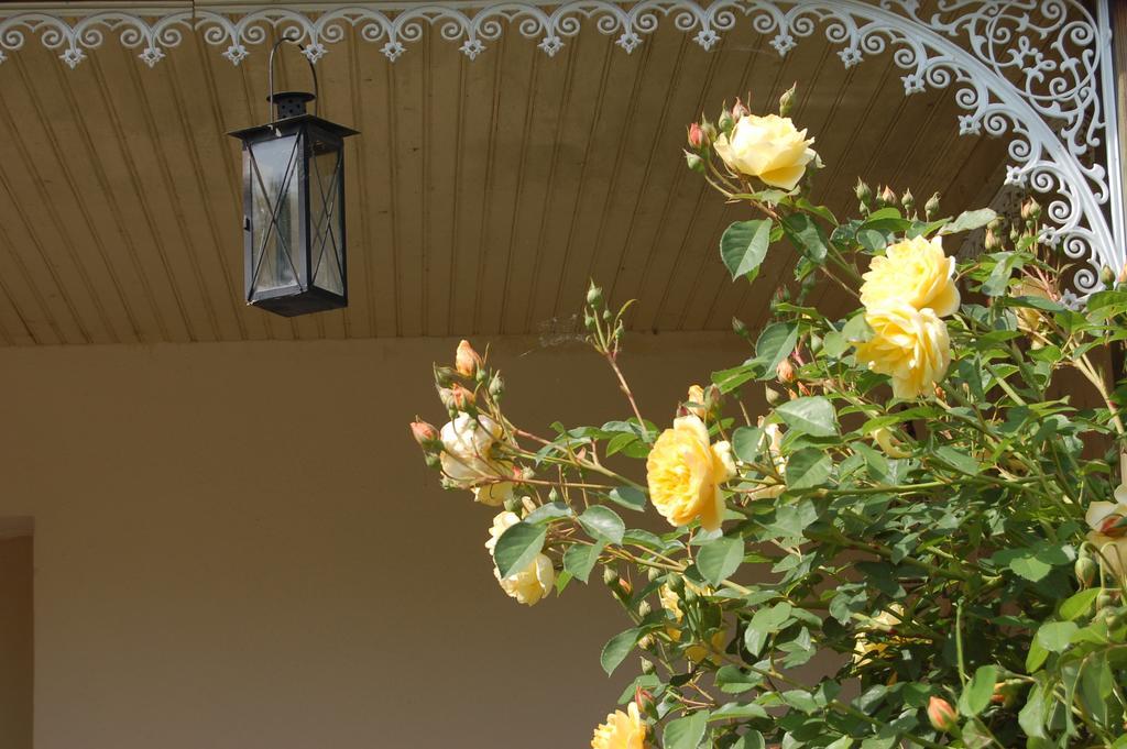 La Grange Dimiere, Pres De Tours Bed & Breakfast Saint-Genouph Luaran gambar